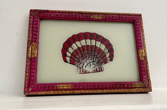 Small Shell Glass Art - Contemporary with Vintage Frame