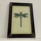 Small Dragonfly Glass Art - Contemporary with Vintage Frame