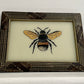 Small Bumblebee Glass Art - Contemporary with Vintage Frame