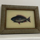 Small Fish Glass Art - Contemporary with Vintage Frame