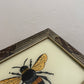 Small Bumblebee Glass Art - Contemporary with Vintage Frame