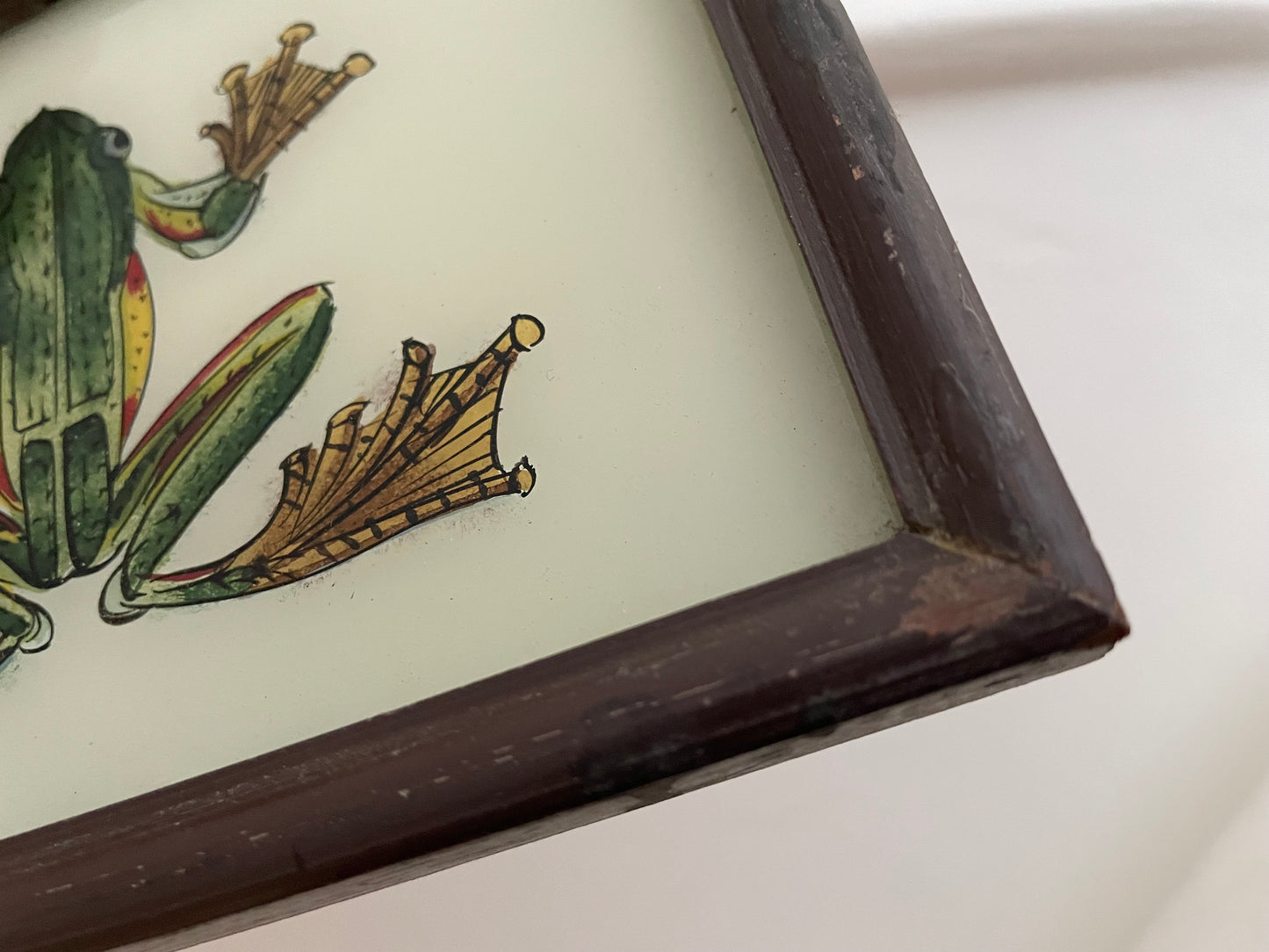 Small Frog Glass Art - Contemporary with Vintage Frame