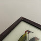 Small Woodpecker Glass Art - Contemporary with Vintage Frame