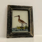 Mini Bird (Curlew) Glass Art - Contemporary with Vintage Frame