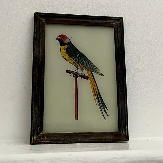 Small Parot Glass Art - Contemporary with Vintage Frame