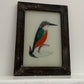 Small Kingfisher Glass Art - Contemporary with Vintage Frame