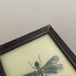 Small Dragonfly Glass Art - Contemporary with Vintage Frame