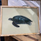 Turtle Glass Art - Contemporary with Vintage Frame