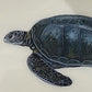 Turtle Glass Art - Contemporary with Vintage Frame