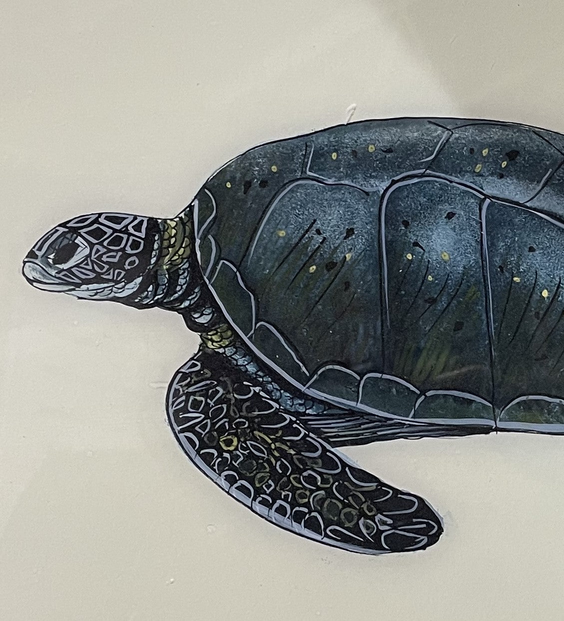 Turtle Glass Art - Contemporary with Vintage Frame